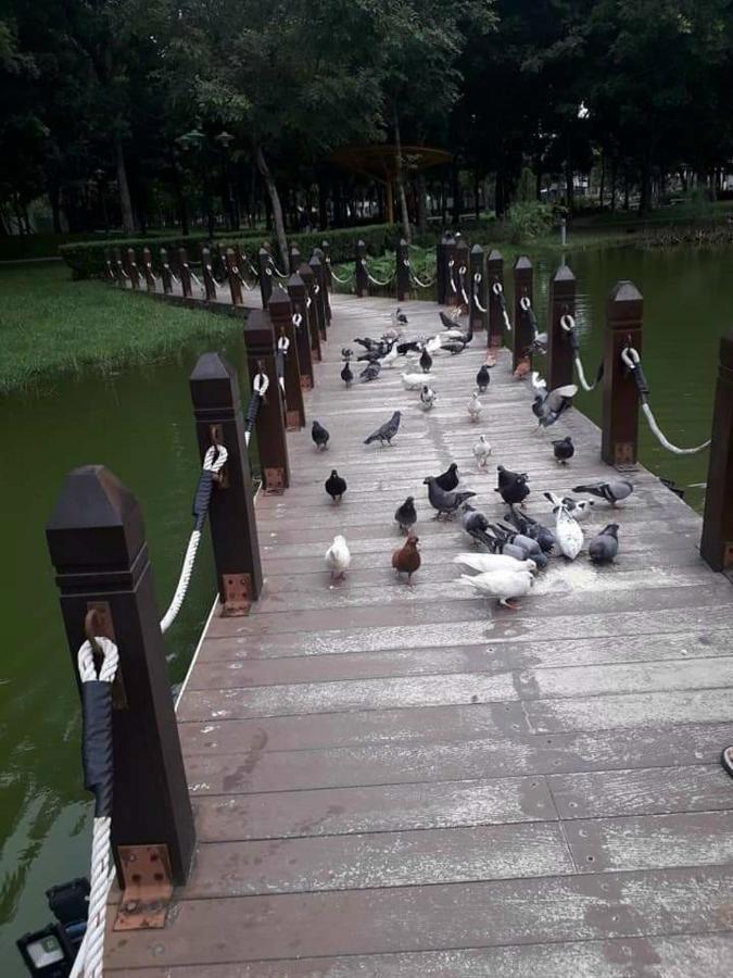 Ho Vip Sieu Rong, Sieu Sang, Gia Tot Chung Cu Celadon, Ngay Aeon Tan Phu Căn hộ