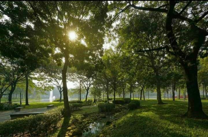 Ho Vip Sieu Rong, Sieu Sang, Gia Tot Chung Cu Celadon, Ngay Aeon Tan Phu * Ho Chi Minh City